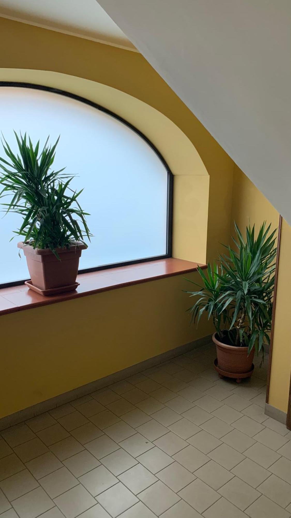 Bb Borgo Biella Tree Villa Candelo Exterior photo
